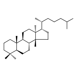 5α-Euphane Structure