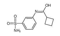 Cyclobutanecarboxamide, N-[3-(aminosulfonyl)phenyl]- (9CI) picture