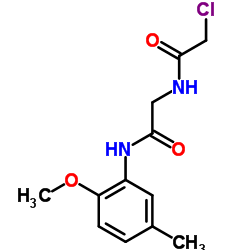 2-CHLORO-N-(2-[(2-METHOXY-5-METHYLPHENYL)AMINO]-2-OXOETHYL)ACETAMIDE结构式