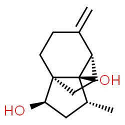 3a,7-Ethano-3aH-indene-3,7a-diol,hexahydro-1-methyl-6-methylene-,(1R,3R,3aR,7S,7aR)-(9CI) Structure