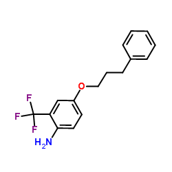 946663-01-0 structure