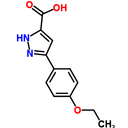 3-(4-Ethoxyphenyl)-1H-pyrazole-5-carboxylic acid Structure