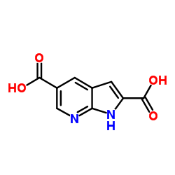 1H-Pyrrolo[2,3-b]pyridine-2,5-dicarboxylic acid Structure