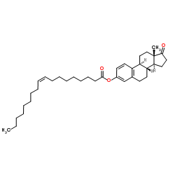 oleoyl-estrone Structure