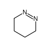 3,4,5,6-tetrahydropyridazine结构式