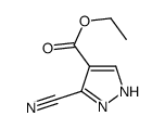 ETHYL5-CYANO-1H-PYRAZOLE-4-CARBOXYLATE structure