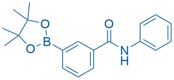 N-苯基-3-(4,4,5,5-四甲基-1,3,2-二氧硼杂环戊烷-2-基)苯甲酰胺结构式