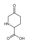 (±)-5-oxopiperidine-2-carboxylic acid structure