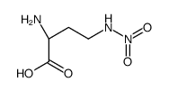 alpha-amino-gamma-nitraminobutyrate picture