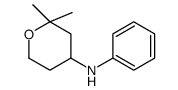 2,2-dimethyl-N-phenyloxan-4-amine Structure