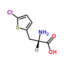 3-(5-Chloro-2-thienyl)alanine Structure