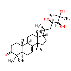 100198-09-2 structure