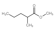 Methyl 2-methylvalerate picture