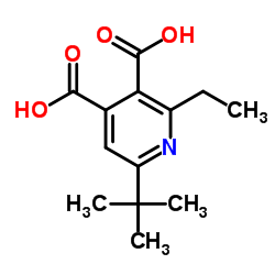 6-tert-Butyl-2-ethylpyridine-3,4-dicarboxylic acid结构式