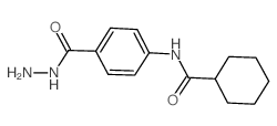 N-[4-(hydrazinecarbonyl)phenyl]cyclohexanecarboxamide结构式