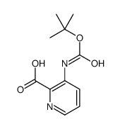 3-(Boc-氨基)-2-甲酸吡啶结构式