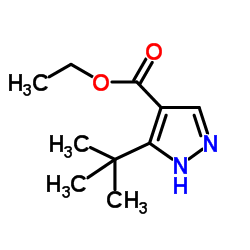 ethyl 3-(tert-butyl)-1H-pyrazole-4-carboxylate picture