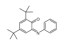 2,4-ditert-butyl-6-phenyliminocyclohexa-2,4-dien-1-one Structure