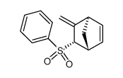 (+/-)-endo-3-methylene-2-(phenylsulfonyl)bicyclo[2.2.1]hept-5-ene Structure