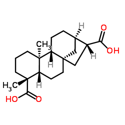 ent-kauran-17,19-dioic acid Structure