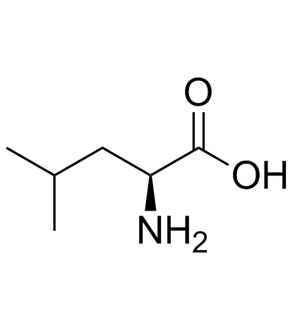 L-leucine Structure