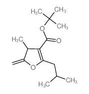 tert-butyl 4-methyl-5-methylidene-2-(2-methylpropyl)-4H-furan-3-carboxylate structure