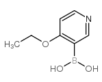 4-Ethoxypyridine-3-boronic acid picture