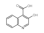 3-hydroxyquinoline-4-carboxylic acid Structure