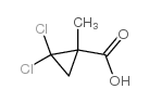 2,2-DICHLORO-1-METHYLCYCLOPROPANECARBOXYLIC ACID structure