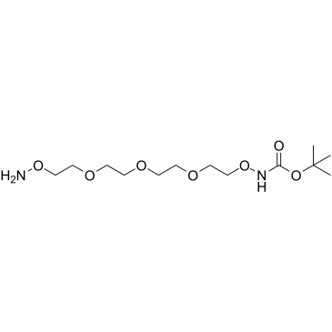 t-Boc-Aminooxy-PEG3-oxyamine structure