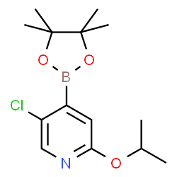 5-Chloro-2-isoproxypyridine-4-boronic acid pinacol ester structure