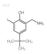 2-(aminomethyl)-6-iodo-4-tert-butyl-phenol structure