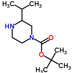 1-Boc-3-Isopropylpiperazine picture