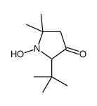 2-tert-butyl-1-hydroxy-5,5-dimethylpyrrolidin-3-one结构式