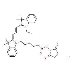 IC3-OSU Structure