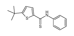 5-tert-butyl-N-phenylthiophene-2-carbothioamide Structure