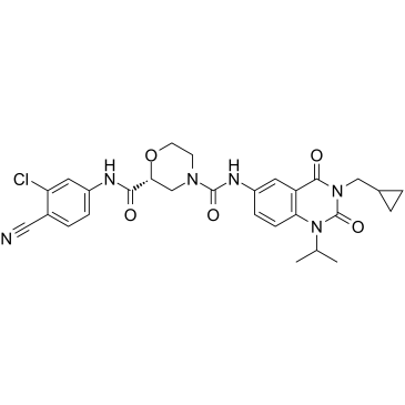 RORγt Inverse agonist 6 picture