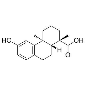 罗汉松酸图片