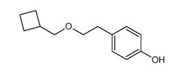 4-[2-(cyclobutylmethoxy)-ethyl]-phenol Structure