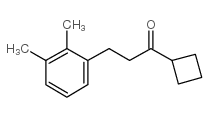 CYCLOBUTYL 2-(2,3-DIMETHYLPHENYL)ETHYL KETONE结构式