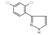 3-(2,4-DICHLOROPHENYL)PYRAZOLE Structure