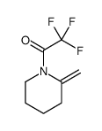 Piperidine, 2-methylene-1-(trifluoroacetyl)- (9CI)结构式