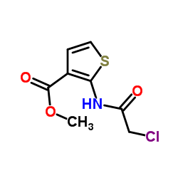 METHYL 2-[(2-CHLOROACETYL)AMINO]THIOPHENE-3-CARBOXYLATE structure