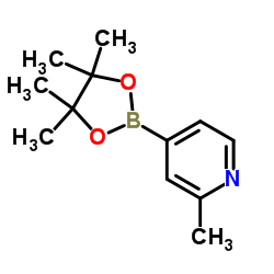 2-Methylpyridine-4-boronic acid pinacol ester Structure