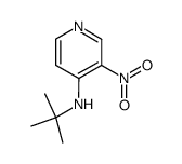 4-(TERT-BUTYLAMINO)-3-NITROPYRIDINE结构式