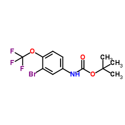 tert-butyl (3-bromo-4-(trifluoromethoxy)phenyl)carbamate structure