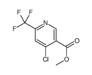 4-氯-6-(三氟甲基)烟酸甲酯图片