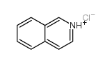 isoquinolinium chloride picture