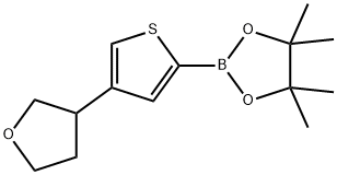 4,4,5,5-tetramethyl-2-(4-(tetrahydrofuran-3-yl)thiophen-2-yl)-1,3,2-dioxaborolane图片