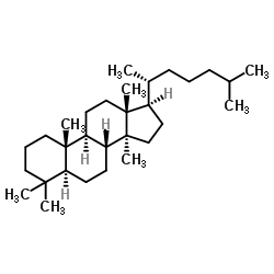 羊毛甾烷结构式